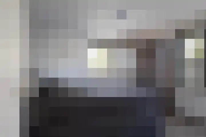 Foarwei 13 Damwâld thumbnail 40