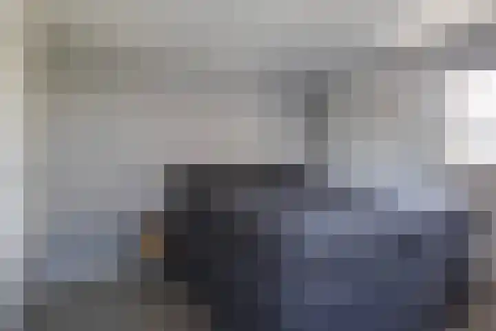 Foarwei 13 Damwâld thumbnail 41