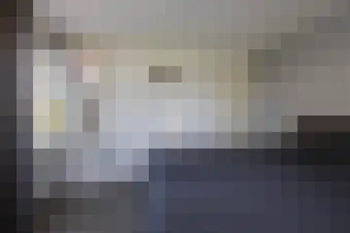 Foarwei 13 Damwâld thumbnail 42