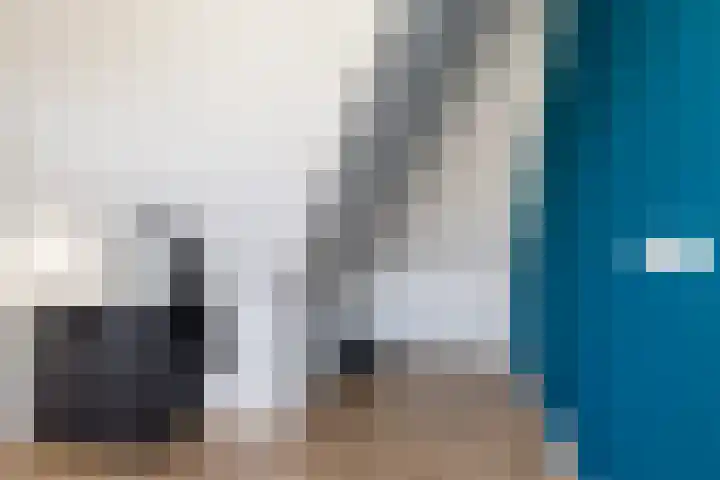Foarwei 13 Damwâld thumbnail 53
