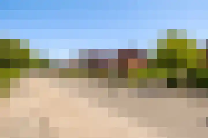 Foarwei 13 Damwâld thumbnail 6