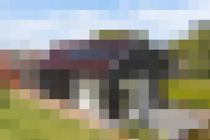 Foarwei 13 Damwâld thumbnail 61