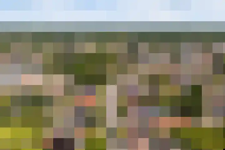 Foarwei 13 Damwâld thumbnail 65