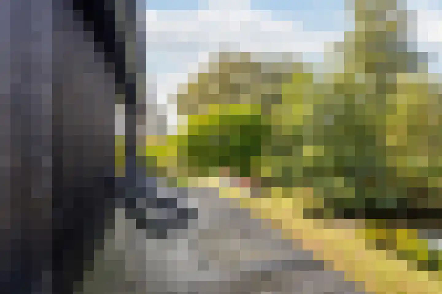 Foarwei 21 86 Aldwâld thumbnail 24