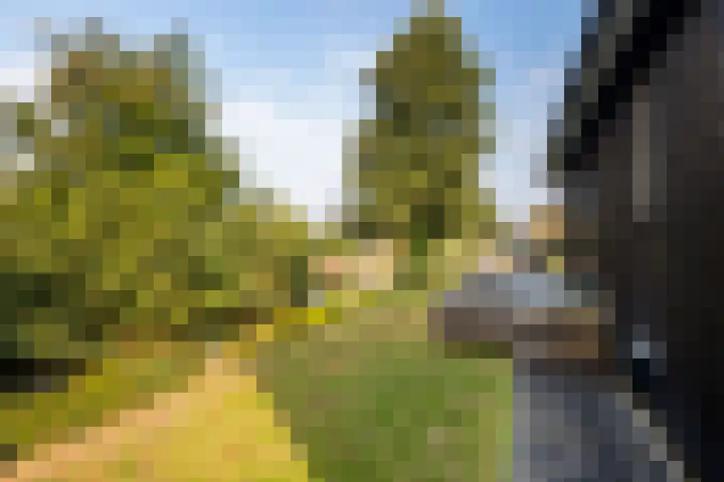 Foarwei 21 86 Aldwâld thumbnail 25
