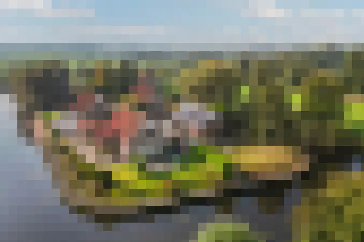 Foarwei 21 86 Aldwâld thumbnail 5