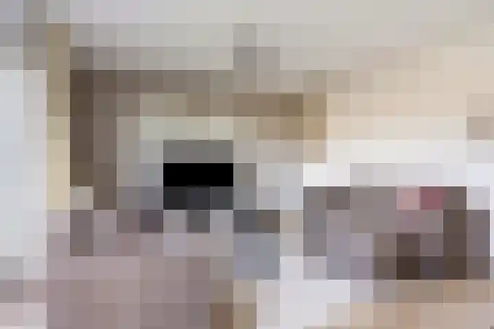 Foarwei 21 87 Aldwâld thumbnail 15