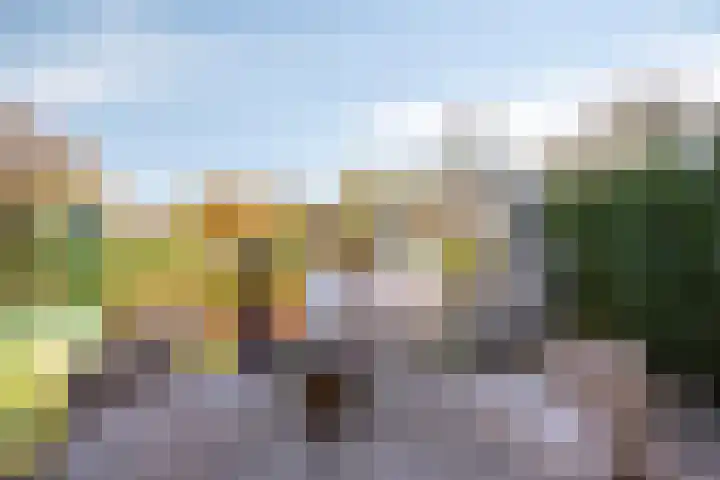 Foarwei 21 87 Aldwâld thumbnail 38