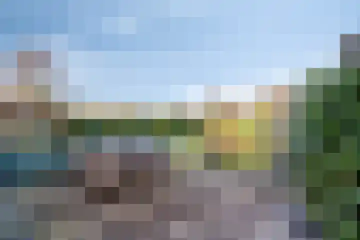 Foarwei 21 87 Aldwâld thumbnail 39