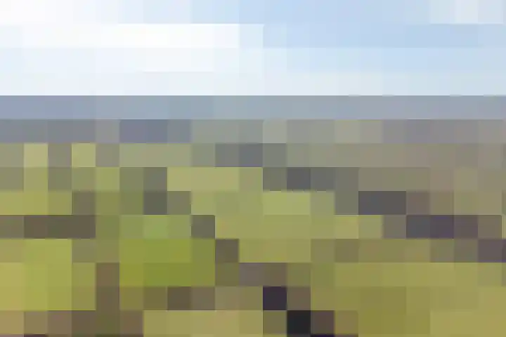 Foarwei 21 87 Aldwâld thumbnail 49