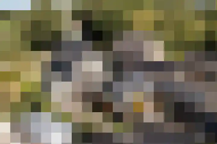 Foarwei 3 Kollumersweach thumbnail 10