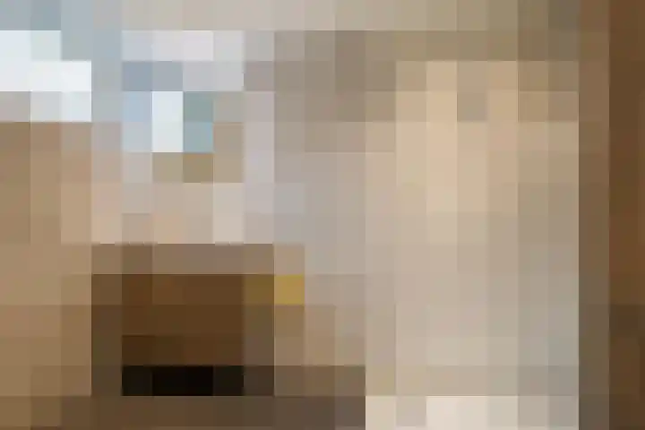 Foarwei 3 Kollumersweach thumbnail 32
