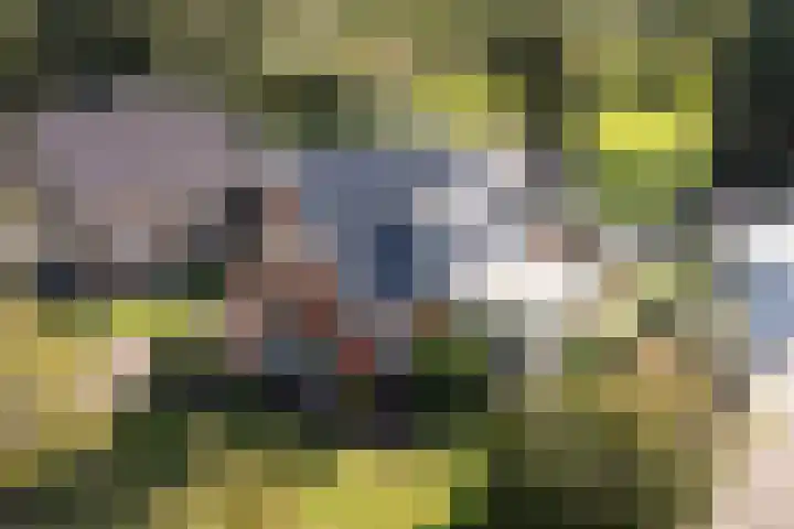 Foarwei 3 Kollumersweach thumbnail 4