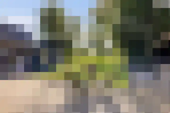 Foarwei 3 Kollumersweach thumbnail 41