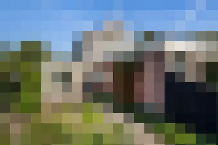 Foarwei 3 Kollumersweach thumbnail 42