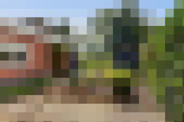 Foarwei 3 Kollumersweach thumbnail 47