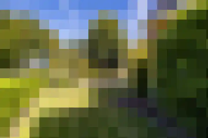 Foarwei 3 Kollumersweach thumbnail 48