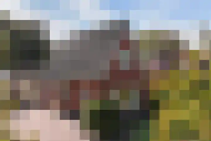 Foarwei 3 Kollumersweach thumbnail 6