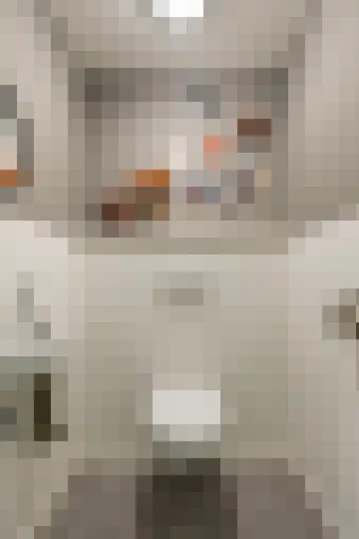 Foarwei 38 Wâlterswâld thumbnail 12