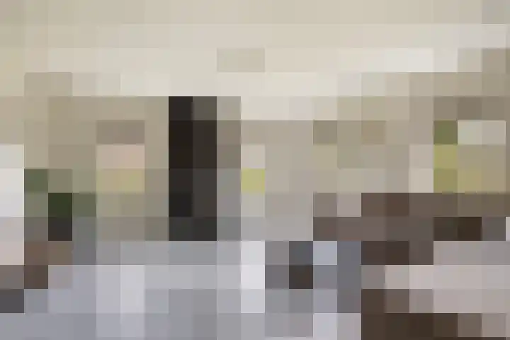 Foarwei 38 Wâlterswâld thumbnail 15