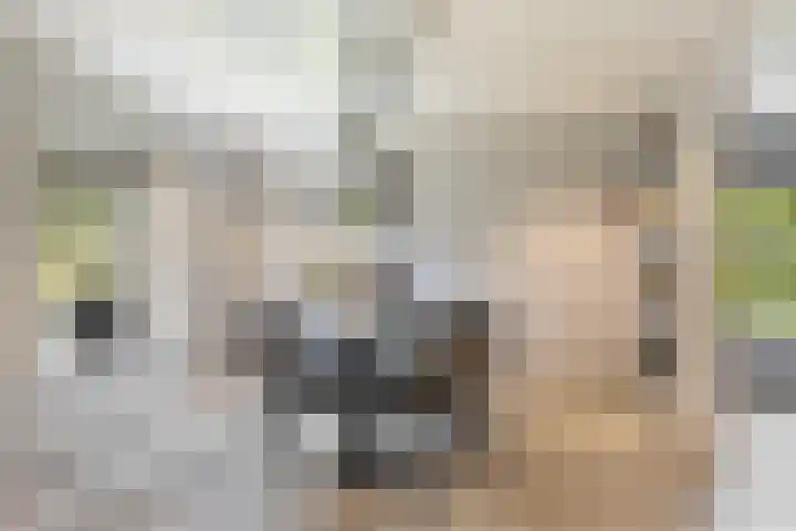 Foarwei 38 Wâlterswâld thumbnail 20