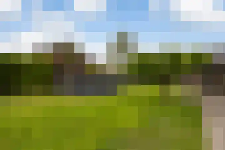 Foarwei 38 Wâlterswâld thumbnail 24
