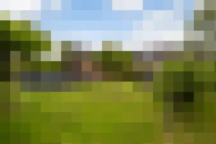 Foarwei 38 Wâlterswâld thumbnail 25