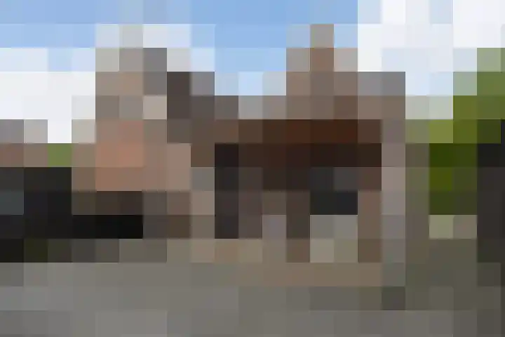 Foarwei 38 Wâlterswâld thumbnail 29