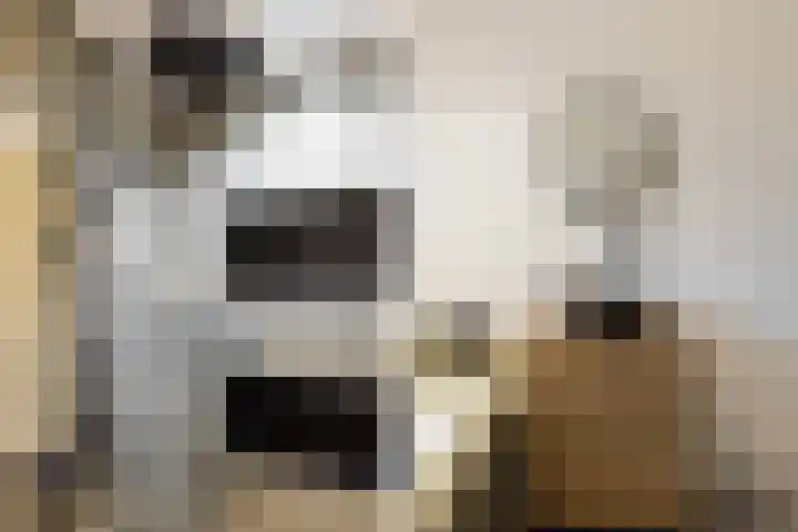 Foarwei 38 Wâlterswâld foto 3
