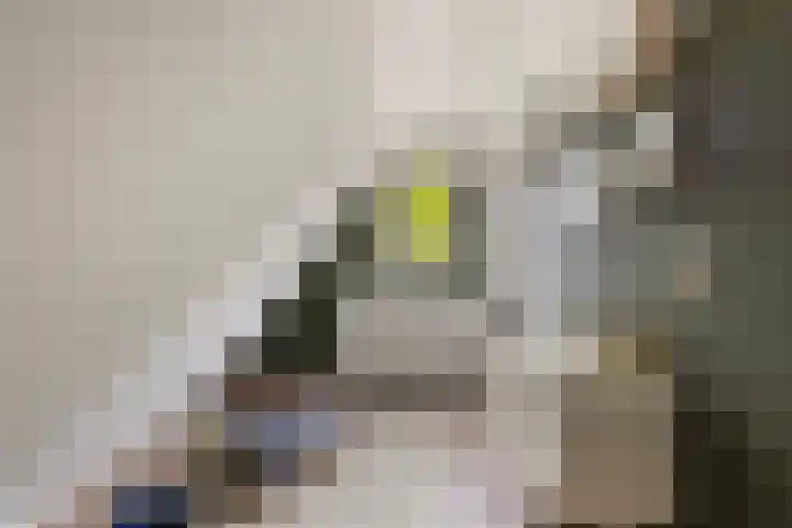 Foarwei 38 Wâlterswâld thumbnail 44