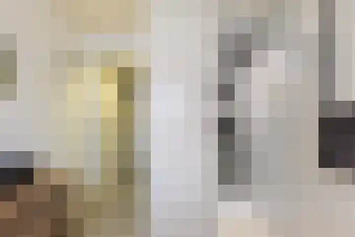 Foarwei 38 Wâlterswâld thumbnail 51