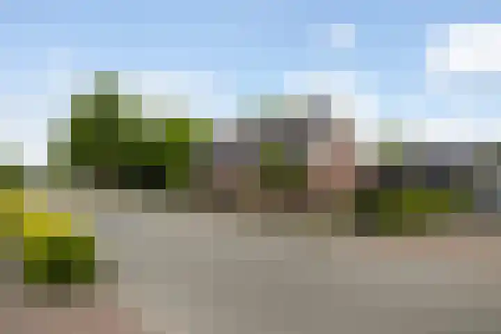 Foarwei 38 Wâlterswâld thumbnail 60