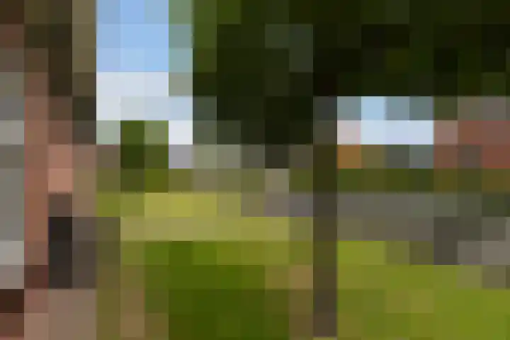 Foarwei 38 Wâlterswâld thumbnail 9