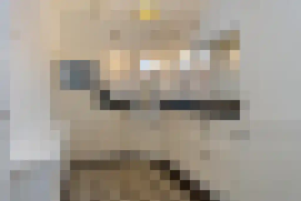 Foekjesteech 25 Langweer thumbnail 22