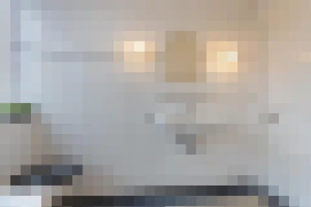 Foekjesteech 25 Langweer thumbnail 49