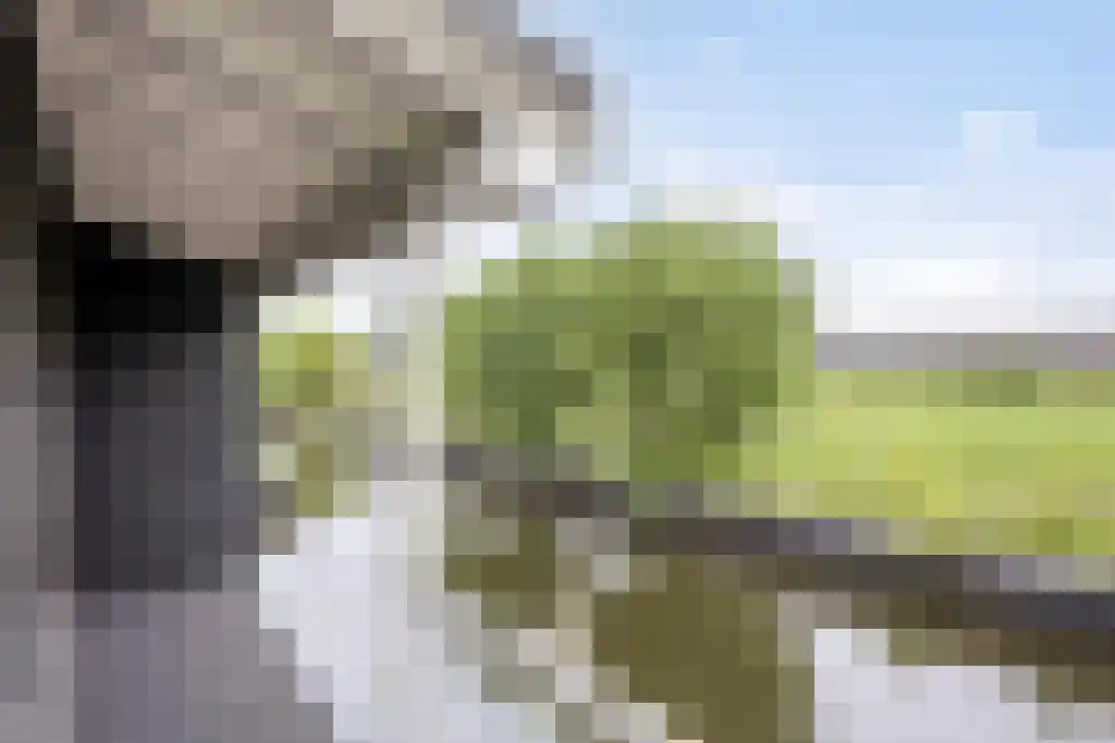Foekjesteech 25 Langweer thumbnail 6