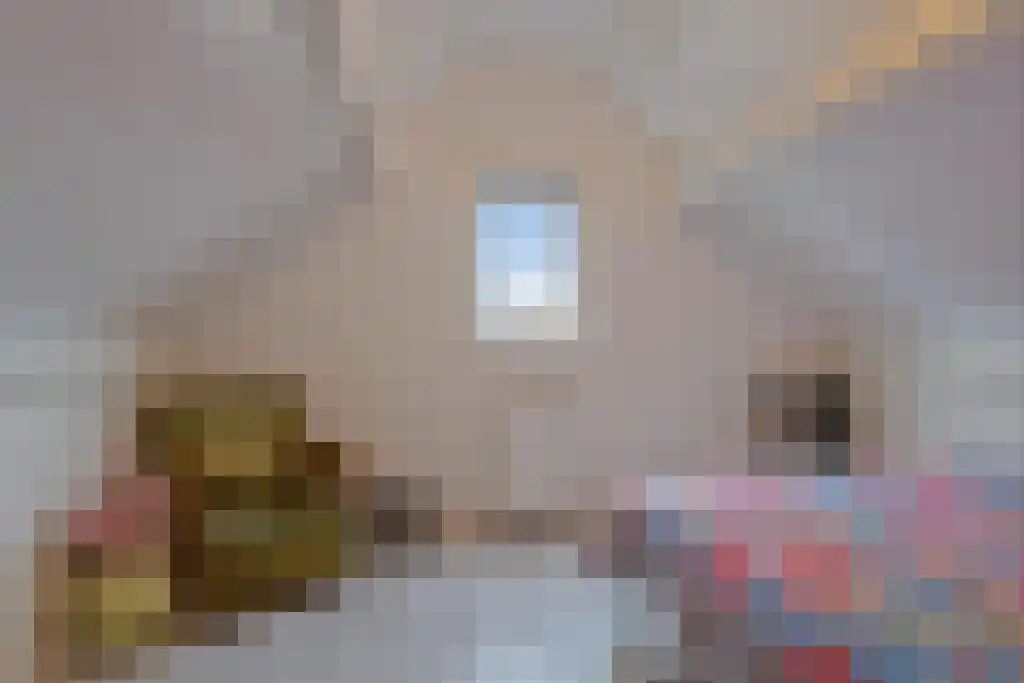 Foekjesteech 25 Langweer thumbnail 63