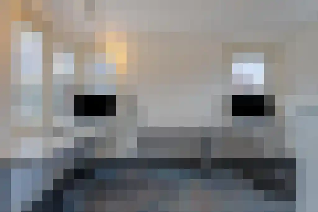 Foekjesteech 25 Langweer thumbnail 68