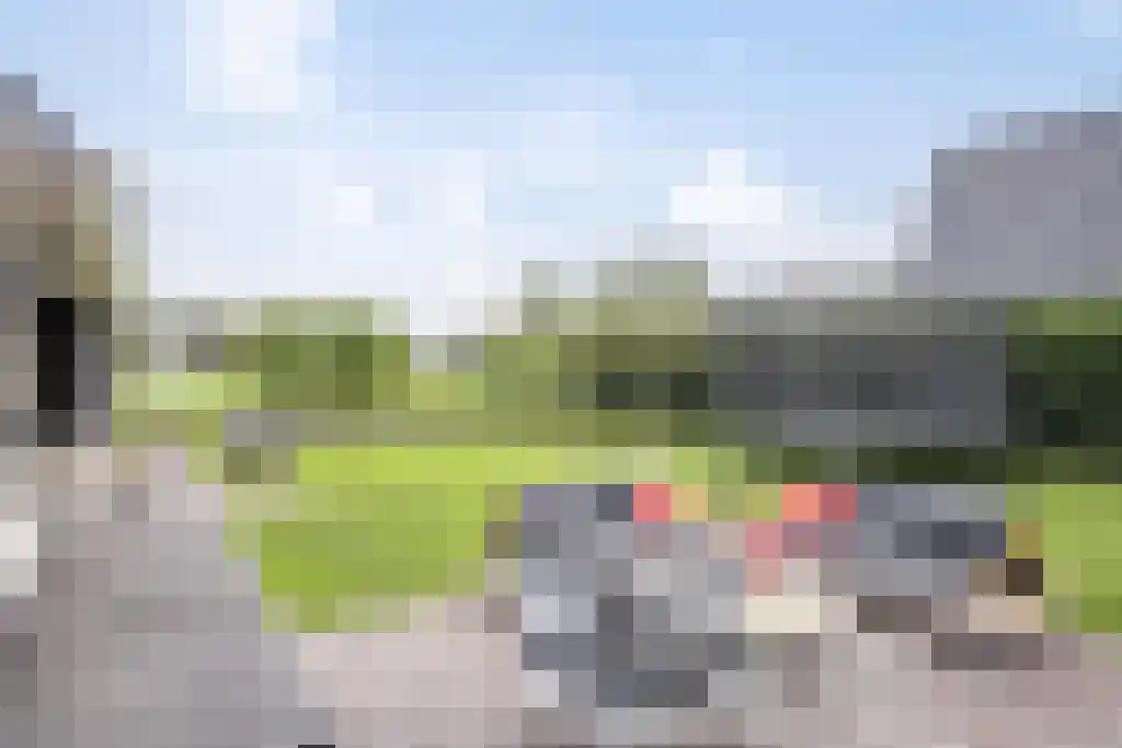 Foekjesteech 25 Langweer thumbnail 73