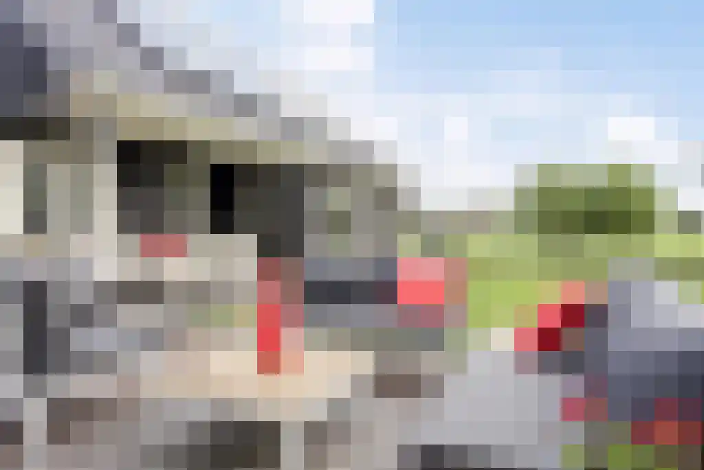 Foekjesteech 25 Langweer thumbnail 76