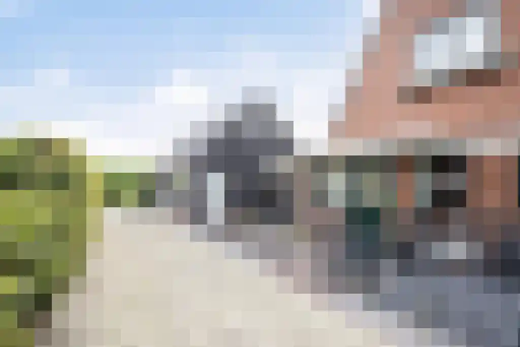 Foekjesteech 25 Langweer thumbnail 81
