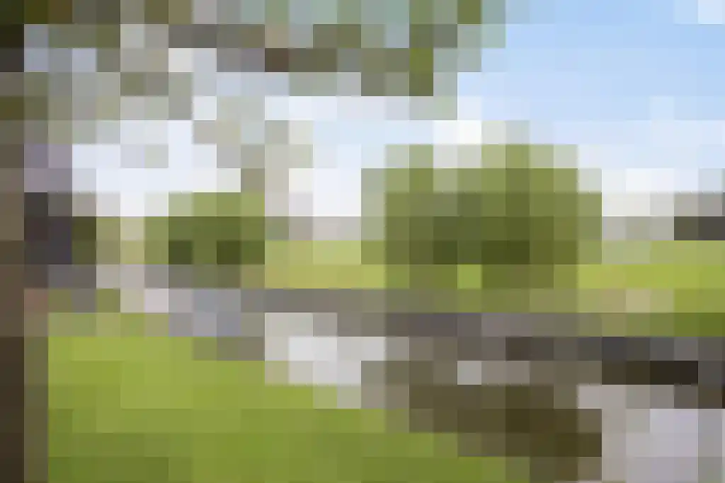 Foekjesteech 25 Langweer thumbnail 83