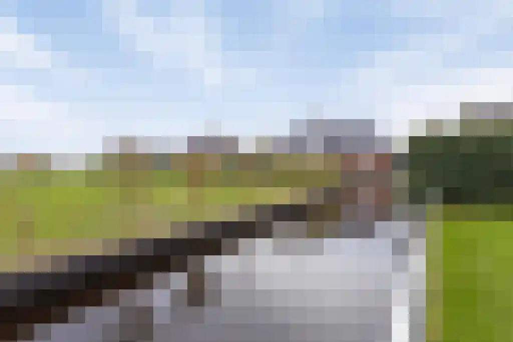 Foekjesteech 25 Langweer thumbnail 84