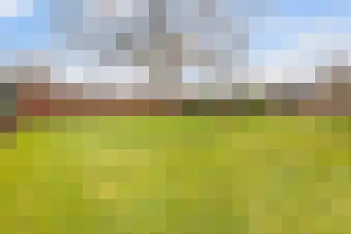 Fokkenkampseweg 3 Wehl thumbnail 26