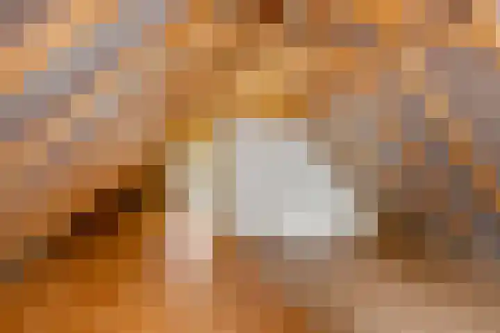 Fokkenkampseweg 3 Wehl thumbnail 36