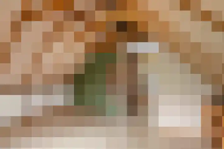 Fokkenkampseweg 3 Wehl thumbnail 38