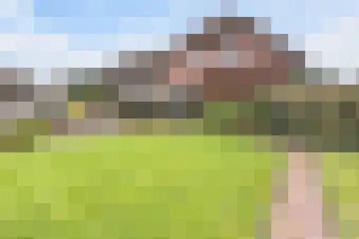Fokkenkampseweg 3 Wehl thumbnail 4