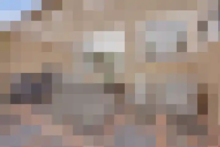 Fokkestraat 16 Dronten thumbnail 39