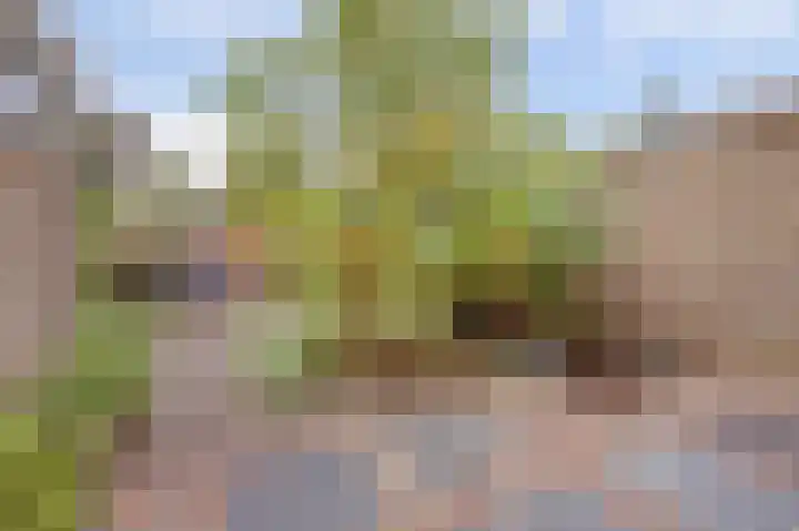 Fokkestraat 16 Dronten thumbnail 40