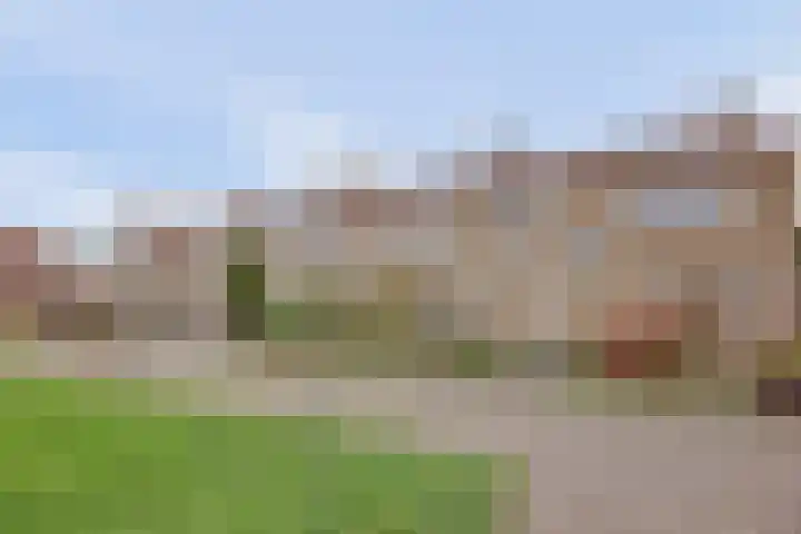 Fokkestraat 16 Dronten thumbnail 42